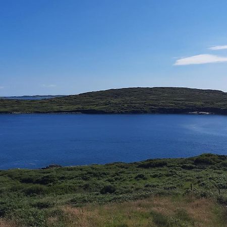 Conneelys Cottage, Connemara, Clifden, H71Y096 Buitenkant foto